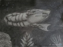 Unterwasser Lebensform - Underwater Life Foem 